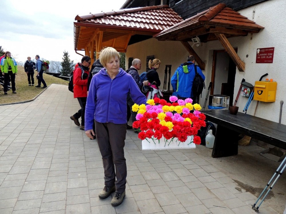 Po nagelj na Goro Oljko